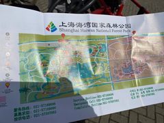 -上海海湾国家森林公园