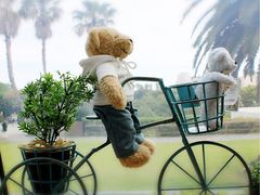 -济州岛泰迪熊博物馆