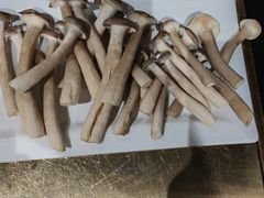 -红鼎坊·老成都火锅(新南门店)