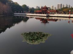 -荔枝公园(福田区)