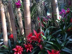 -北京植物园-展览温室