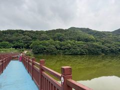 -黄埔油麻山森林公园