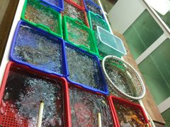 -南蚝小贝海鲜特色餐厅(南澳岛店)