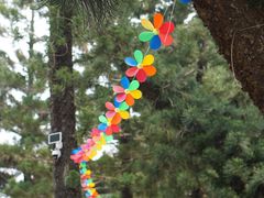 -人民公园(罗湖区)