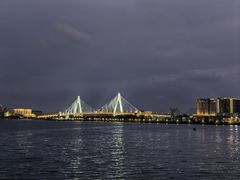 -万绿园