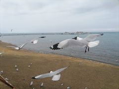 -青海湖二郎剑景区