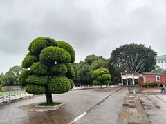 -建水文庙