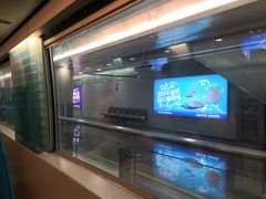 -浦东1号2号航站楼(地铁站)