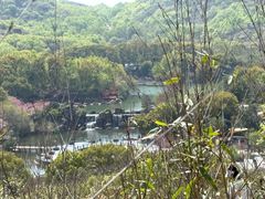 -白马涧龙池景区