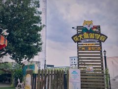 -柴犬高等学院·狗咖·柴犬售卖·宠物训练