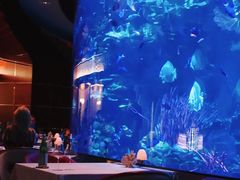 -迪拜帆船酒店海底餐厅