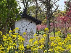 -南汇桃花村