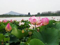 -陈武帝故宫