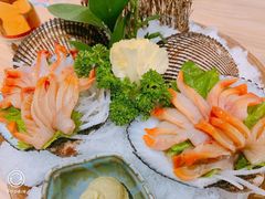 -一本钓鲔鱼屋
