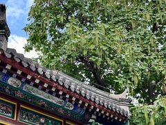-张学良旧居陈列馆