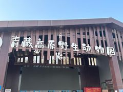 -青藏高原野生动物园