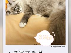 -南方医科大学深圳医院