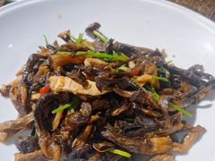 小炒藏香菌-北平盛世·新京菜·北京烤鸭(劲松·双井店)