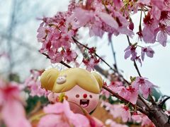 -顾村公园