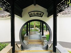 -红梅公园