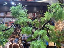 -卡通尼·Safari非洲探索乐园·生日会(金桥国际商业广场店)