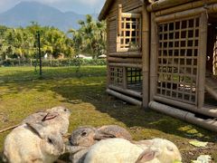 -雅安楠水阁温泉酒店