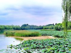 -南海子公园