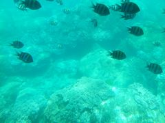 -亚龙湾海底世界
