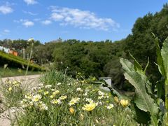 -长春净月潭风景名胜区