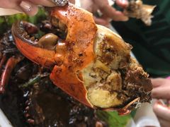 -纽顿熟食中心