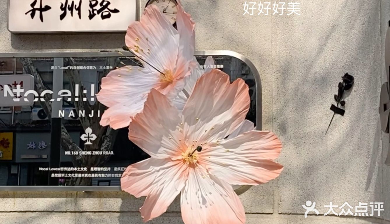 周末去哪玩｜库迪.熙南里.“赏花”