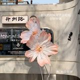 周末去哪玩｜库迪.熙南里.“赏花”