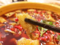 -陈麻婆豆腐总店