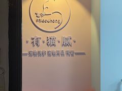 -喵宠乐园·撸猫互动·猫舍