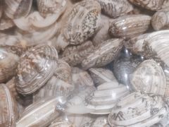 -海天市场(淮河路店)