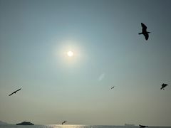 -海驴岛(荣成市)