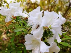 -上海滨江森林公园