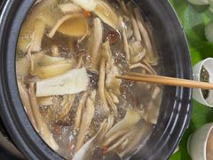 -百菇园野生菌煲(平武店)