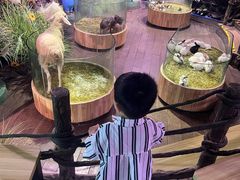 -正佳雨林生态植物园