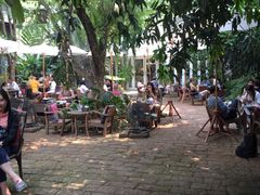 -Fern Forest Cafe