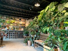 -自由生长植物工作室(深港花卉中心店)