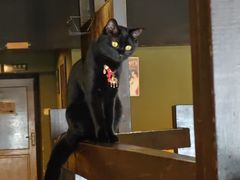 -MOKKA莫卡咖啡(大名路店)