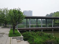 -大望京公园