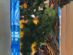 -桂满陇·手作小笼包&江南叫花鸡(中山公园店)