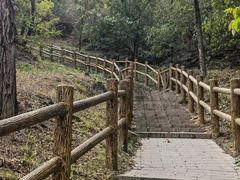 -白水寺森林公园