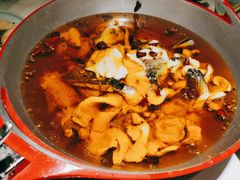 -雲蜀龙阁·金牌水煮鱼(方庄店)