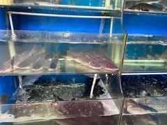 -滇香肴·云南菜蒸汽石锅鱼(云南北路店)