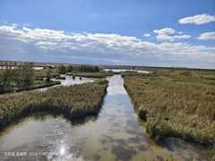 -盐城丹顶鹤湿地生态旅游区