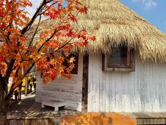 -Blue Concept Cafe&Farm·關於藍