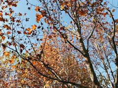 -滨河世纪广场公园